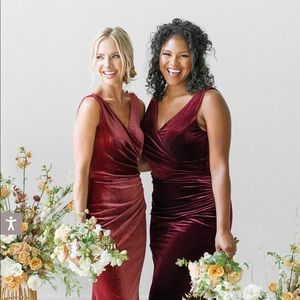 Revelry Dawson Velvet Dress